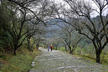 梅岭古道