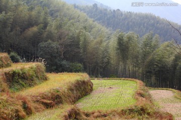 梯田