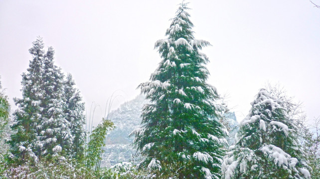 雪景 黄连河