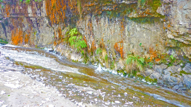 冰瀑 冰掛 黃連河