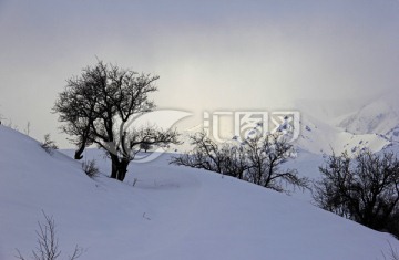 福寿山 晨光 冬景