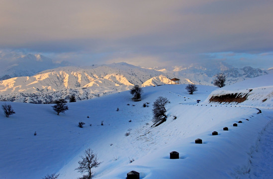 雪山 福寿山 冬景