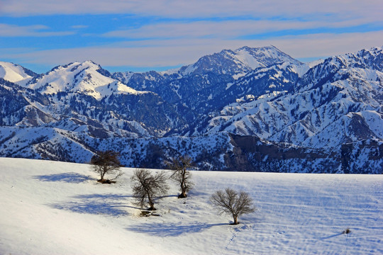 福寿山 冬景 雪景