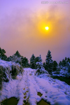 雪地冬阳