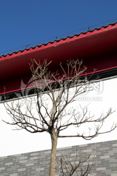 黑瓦红檐传统建筑广州琶洲水公园