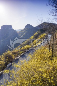 山东青州仰天山春天