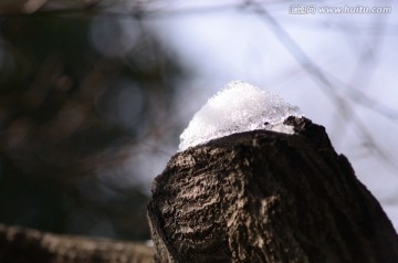 梅桩上的积雪