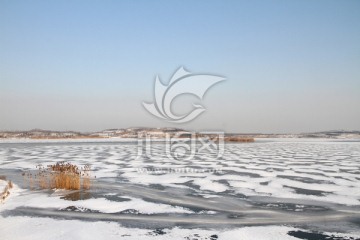 湿地雪景