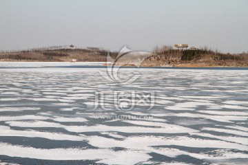 湿地冬景