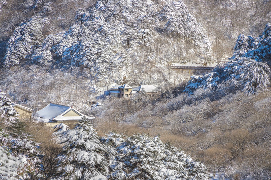 黄山雪景