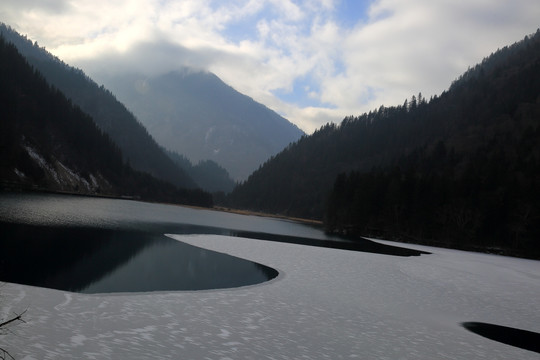 箭竹海