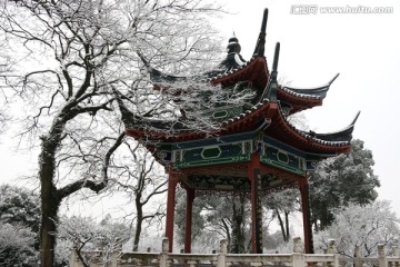 梅园风景