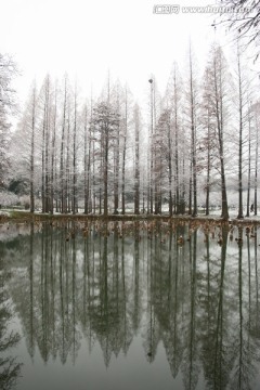 梅园风景