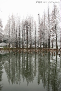 梅园风景