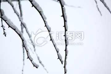 雪景