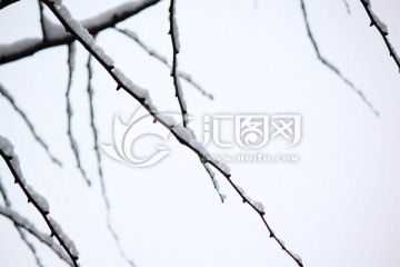 雪景