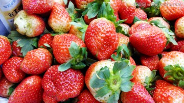 果实 草莓