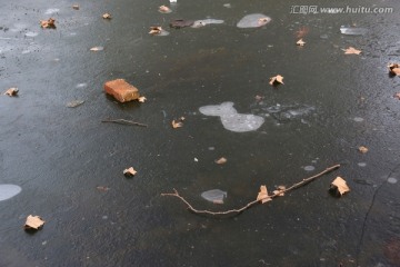 池塘结冰