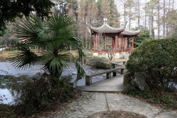 植物园风景