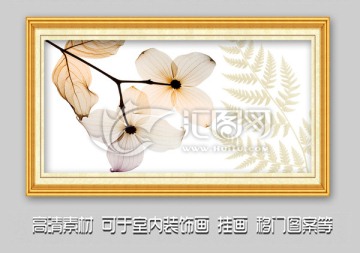 透明花朵