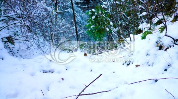 山野积雪 兴隆雪景