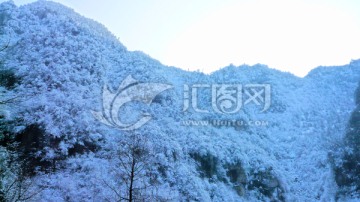 大雪封山 山林冰雪