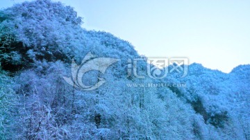 雪枝 大雪封山