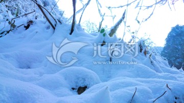 冰雪树枝 洁白世界