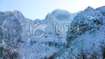 大雪封山 雪枝