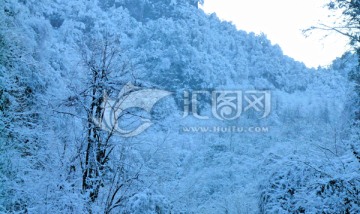 兴隆雪景 大雪压枝