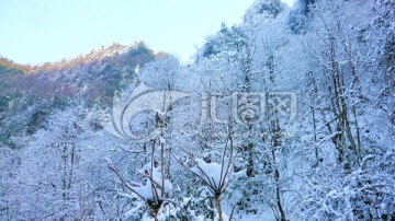 山林雪景 雪山