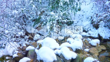 山林雪景 雪山