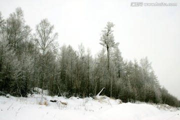 冬季兴安岭森林雾淞
