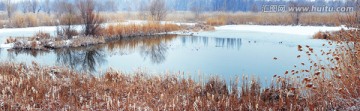 伊犁河畔湿地公园冬雪景色