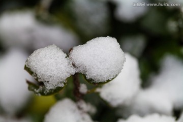 积雪