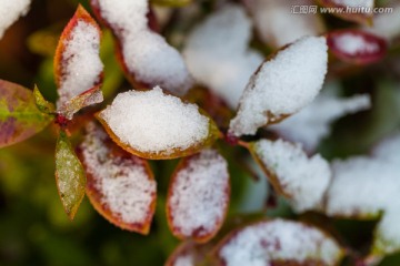 冰雪