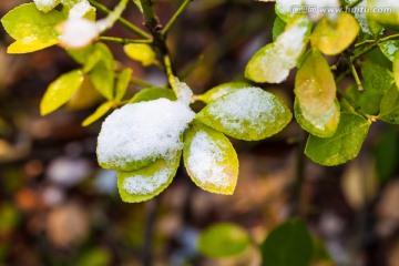 雪堆