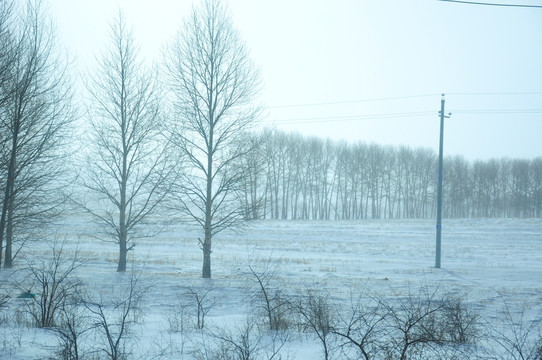 冰天雪地