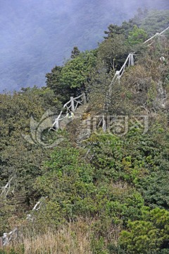 登山道