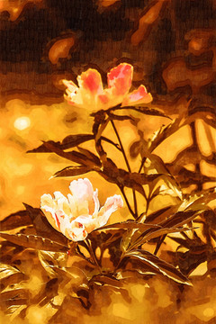 花卉裝飾畫 牡丹 無分層