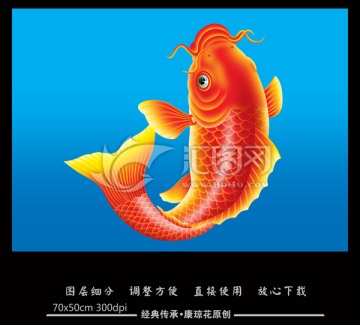 魚(yú)
