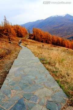 松林山路