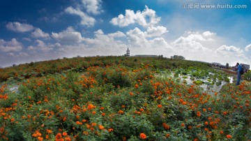 兴化千多景区秋色