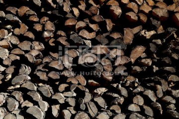 木堆 木材 原木 树干