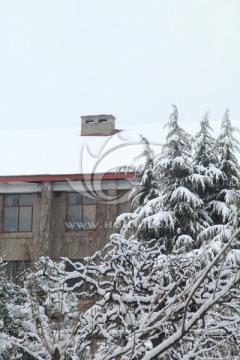 屋顶积雪