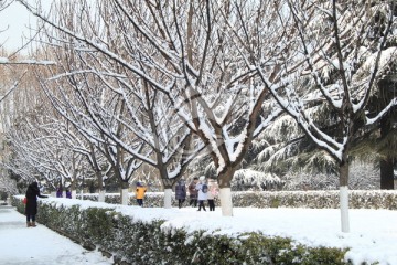 赏雪景的人