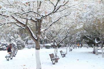 西花园的雪