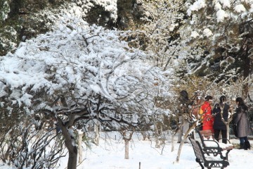 雪中西花园