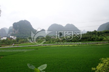 梯田 西部山村 田园风光