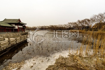 冬日大明湖